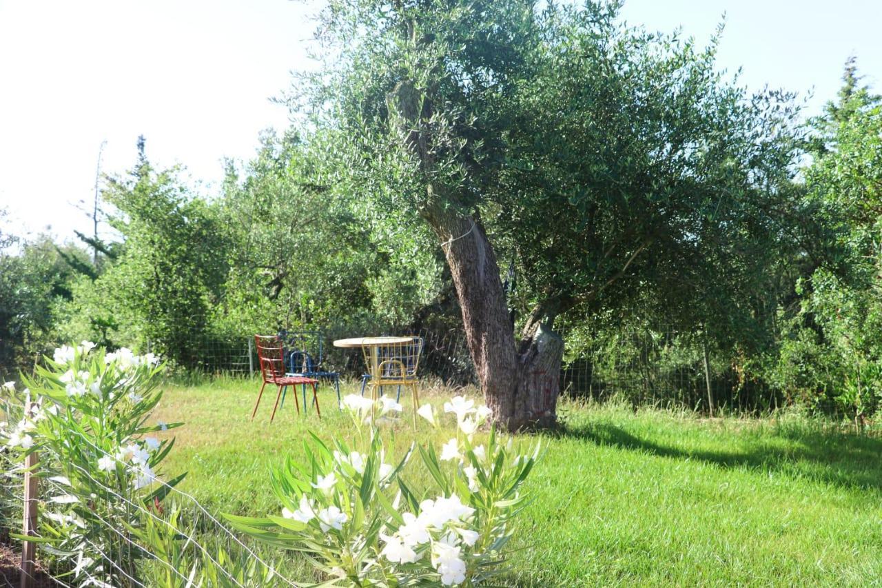 Essos Villas Dhërmi Exterior foto